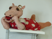 Hippo